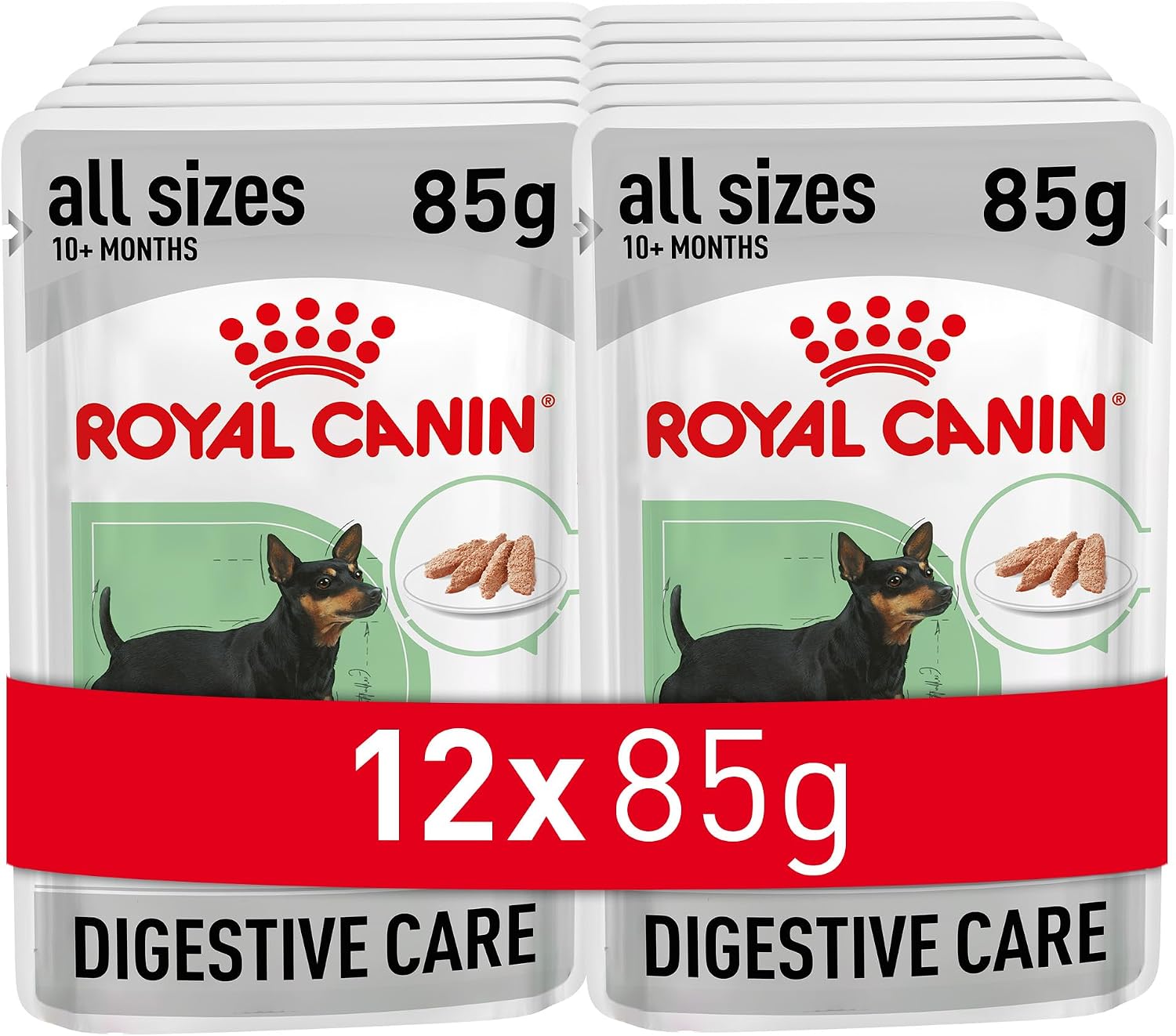 ROYAL CANIN Digestive Care - Wet Food for Dogs 12 sachets of 85 g