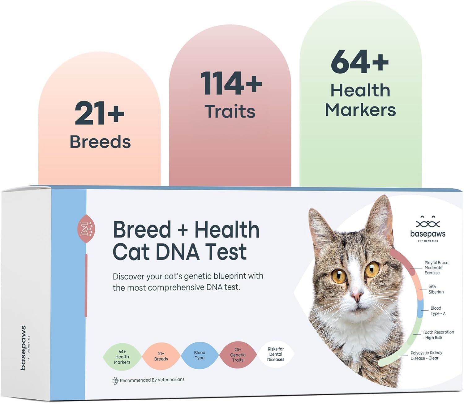 Basepaws Cat DNA Test Kit - Comprehensive Breed, Health and Dental Analysis Across 114 Traits for Accurate and Easy-to-Use Genetic Insights