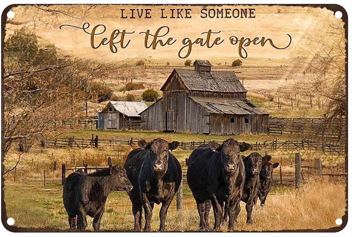 Live Like Someone Left The Gate Open Black Angus Cow Vintage Metal tin Sign Art Plaque Wall Decor Look Funny Gifts for Home Kitchen Garage Bathroom Farm Garden Bar Cafe Metal Posters 8x12 Inch