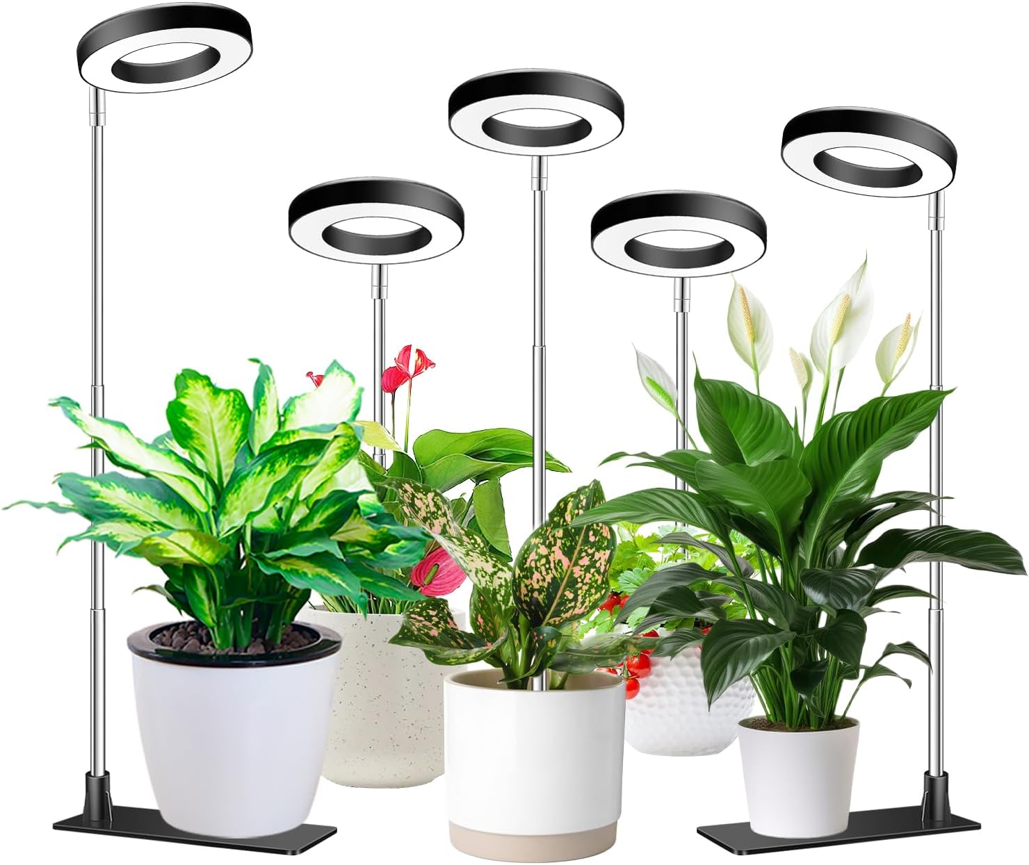 Aokrean Grow Lights for Indoor Plants,Full Spectrum Halo Plant Light 5 Pack