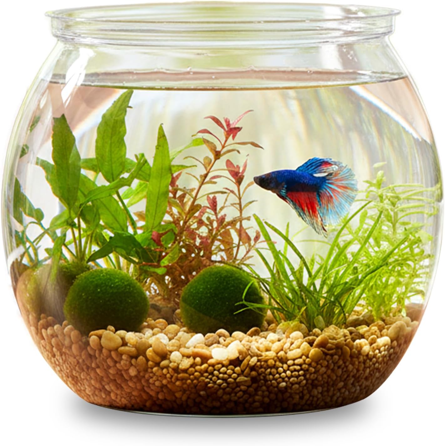 Mini Plastic Fish Bowl 30 oz Decorative Small Fish Tank Unbreakable Aquarium Starter Kit for Centerpiece Vases Party Decorations