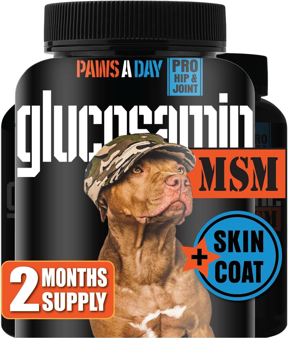 Glucosamine for Dogs Hip & Joint Supplement – “Two-in-One Combo” Dog Joint Care and Improved Skin & Coat with Chondroitin, MSM, Omega 3, Collagen & Biotin, 60 Chewable Tablets
