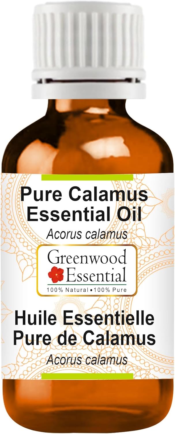 Greenwood Essential Pure Calamus Essential Oil (Acorus Calamus) Steam Distilled Natural Therapeutic Grade 15ml (0.50 oz)
