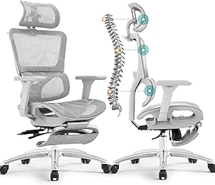 Ferral Ergonomic Office Chair, High Back Home Office Desk Chair with Lumbar Support, 4D Adjustable Armrest & Seat Depth, Computer Mesh Office Chair with Tilt Function (Silvergray)