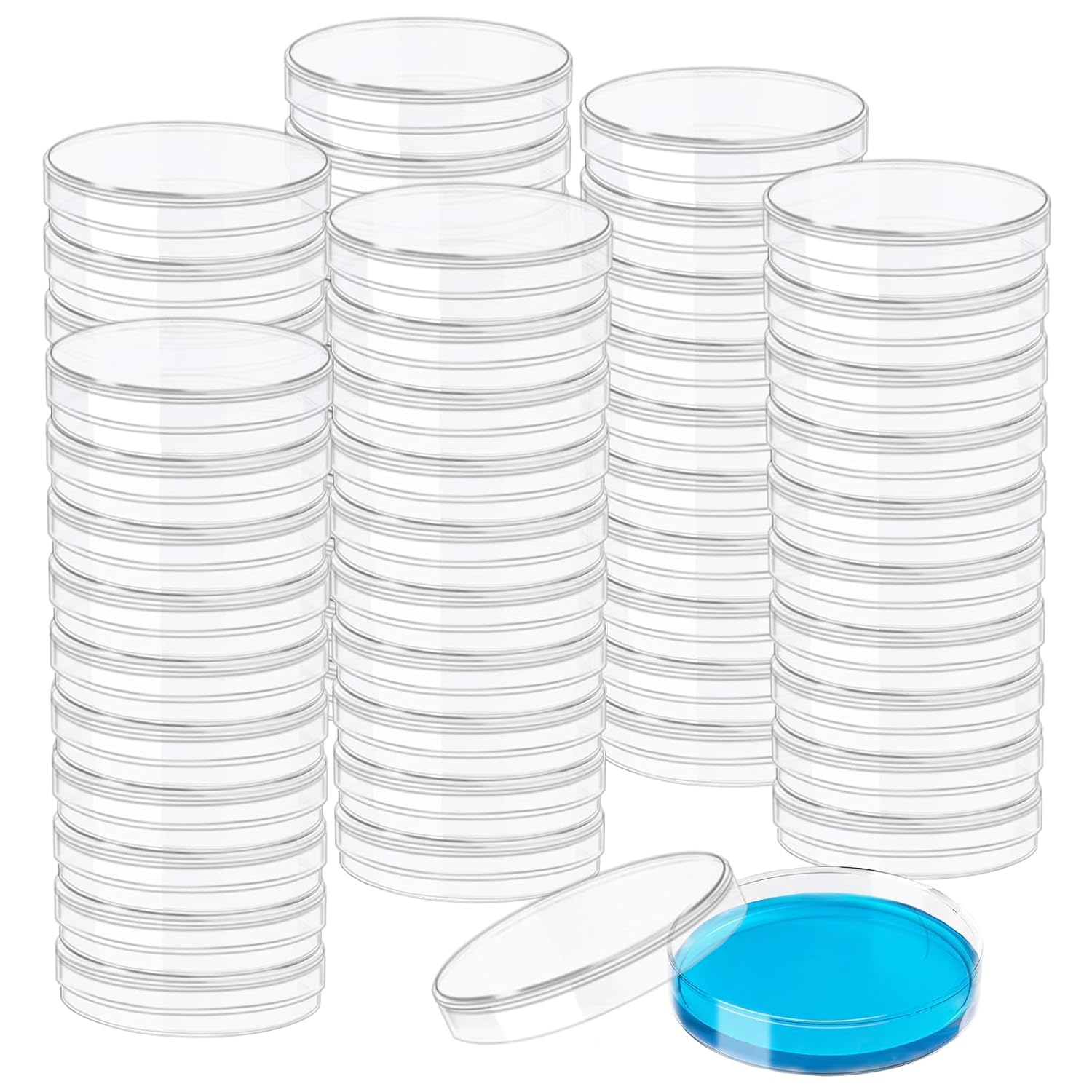 60 Pack 60 x 15 mm Plastic Petri Dishes with Lids