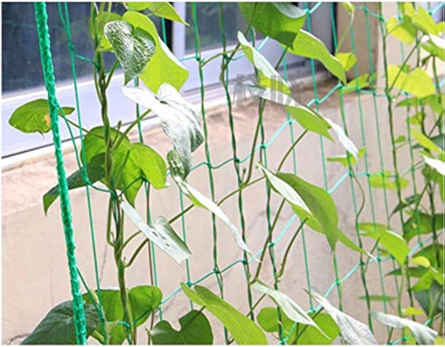 90cm*180cm Pea Bean Cucumber Climbing Frame Net Plant Climber net Garden Netting Support