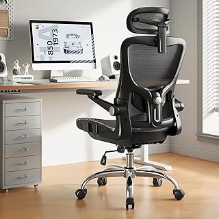 Ergonomic Office Chair, Comfort Mesh with Adjustable Lumbar Support, SGS Class 4 Gas Cylinder Certification Upgraded Black