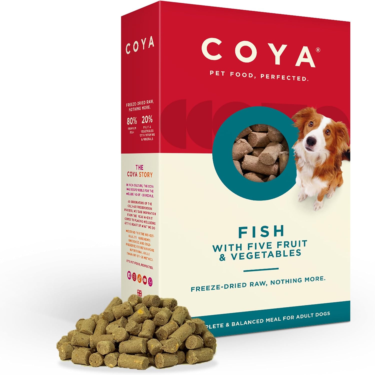 Coya Freeze-Dried Dog Food, Fish (150g) Hypoallergenic & Grain Free, Made With 80% Fish & 20% Fruits & Veggies | Complete Raw Solution, Easy & No Chore