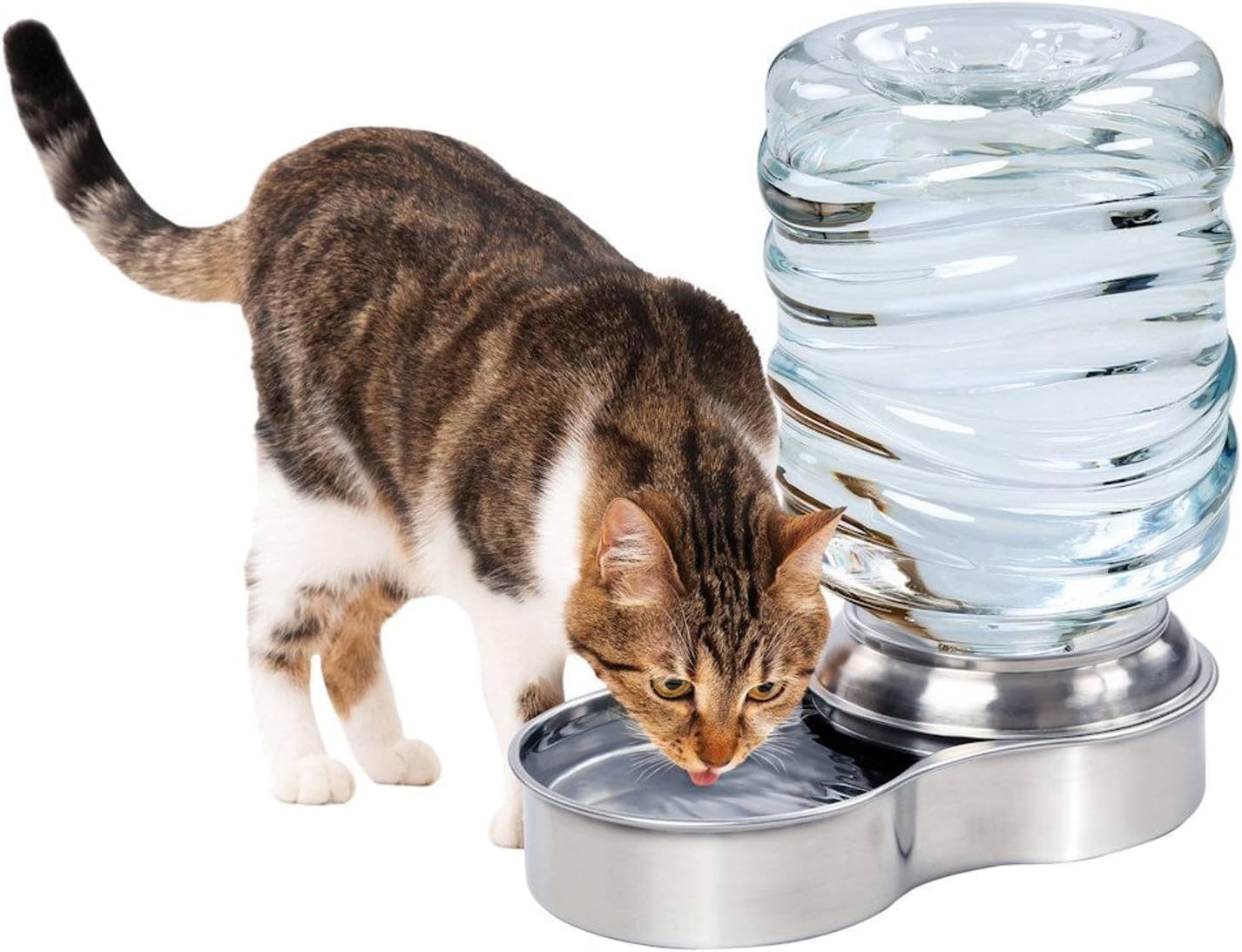 Etna Stainless Steel Pet Dog Cat Water Fountain Bowl, Holds 3 Liters