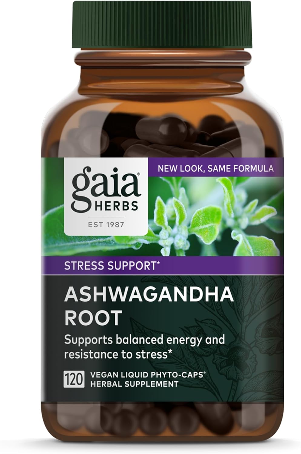 Gaia Herbs Ashwagandha Root - Stress Relief & Immune Support Supplement - Supports Balanced Energy Levels and Positive Outlook - 120 Vegan Liquid Phyto Capsules (1 Pack)