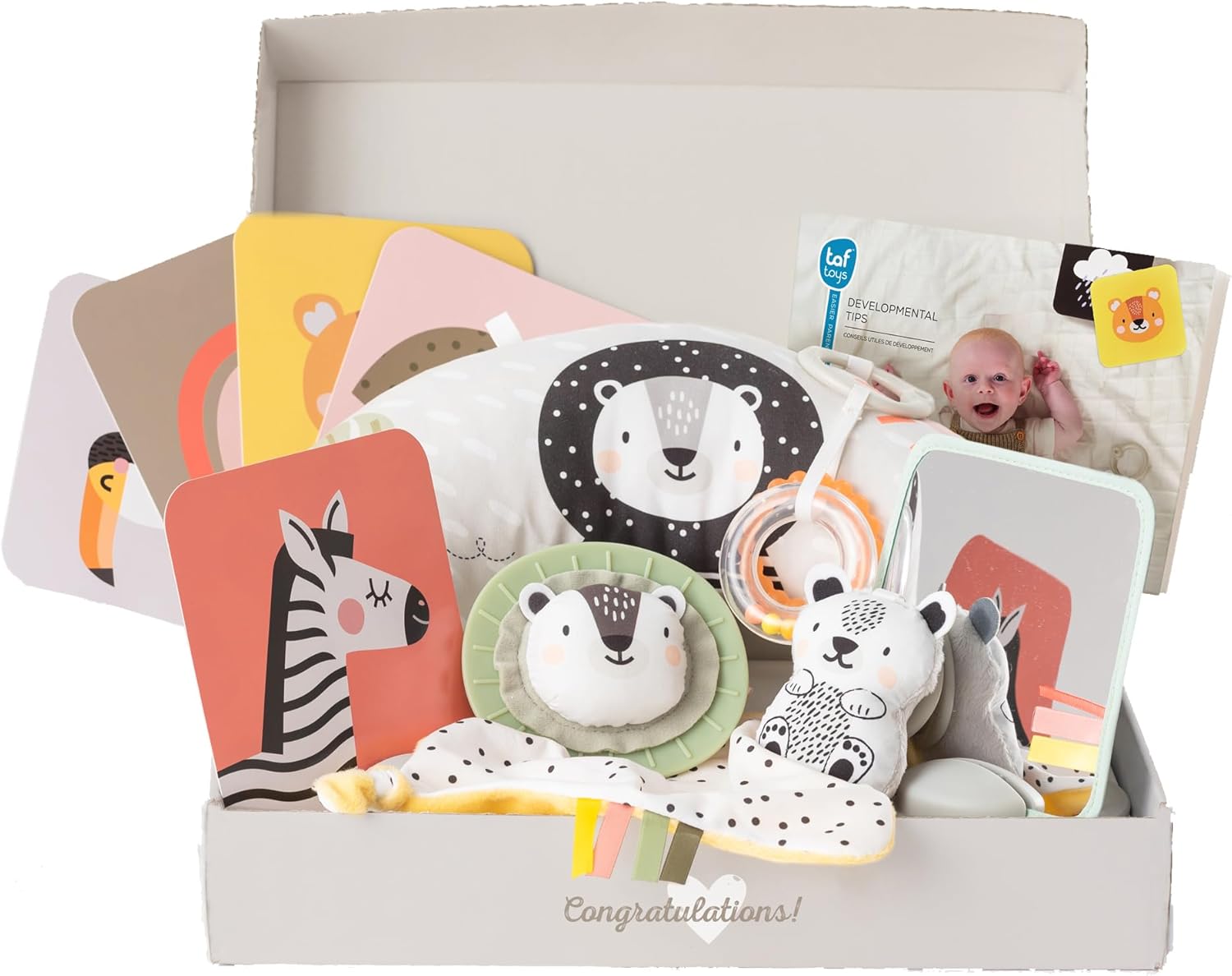 Taf Toys Newborn Gift Set. 12 piece Baby Sensory Box Includes Tummy-time Pillow, Flash Cards, Baby-safe Mirror, Lion Cub and Rattle. Development Kit for Babies. Suitable for Boys & Girls 0 Months +