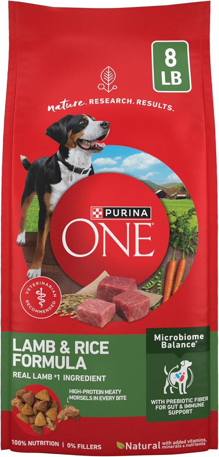 Purina ONE Lamb and Rice Dry Dog Food, 8 lb Bag