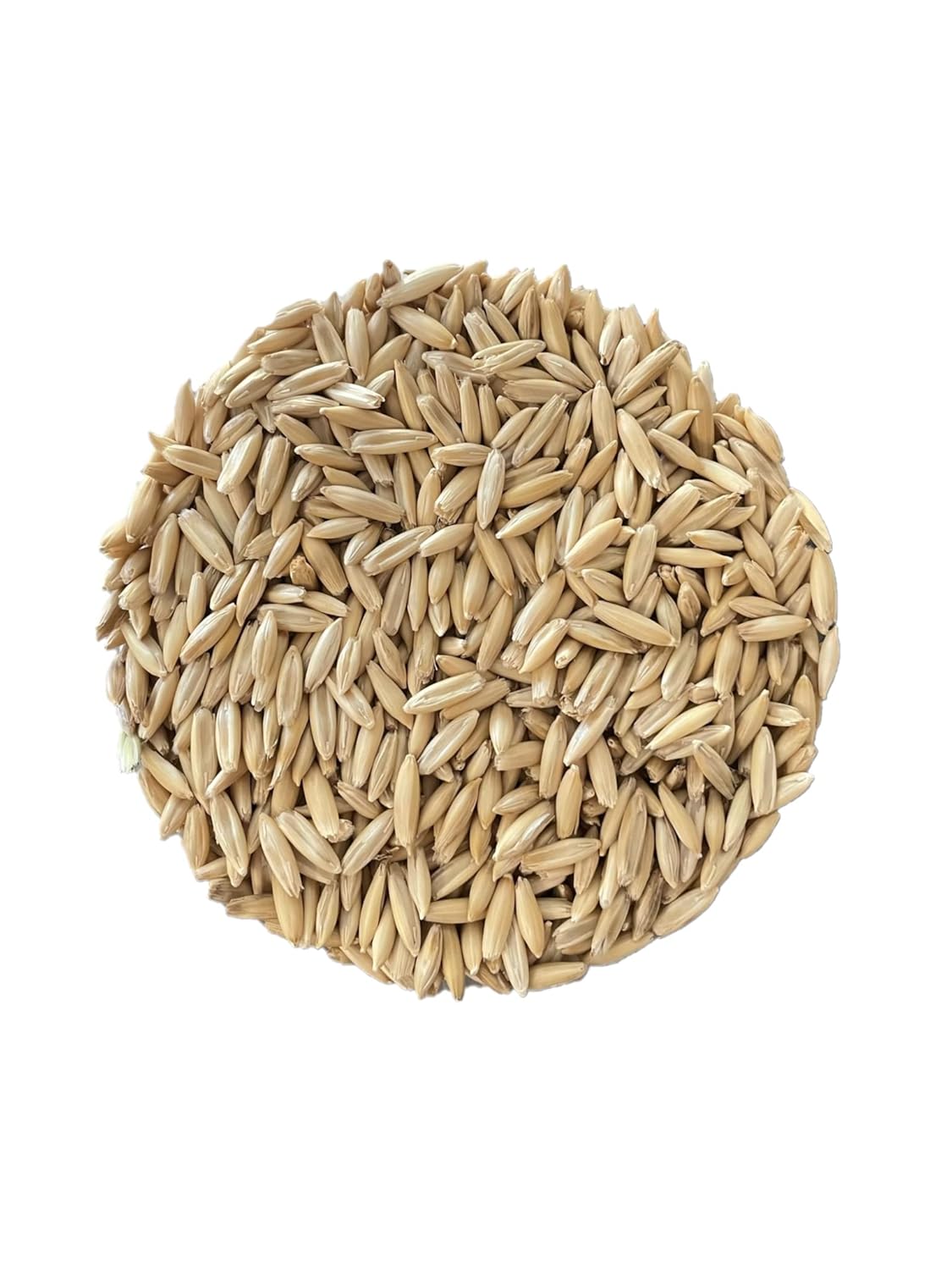 AA Plus Shop Premium Triple Cleaned Whole Oats, Horse Feed, Garden Grass Growing and Mushroom Growing, 10lb Bag