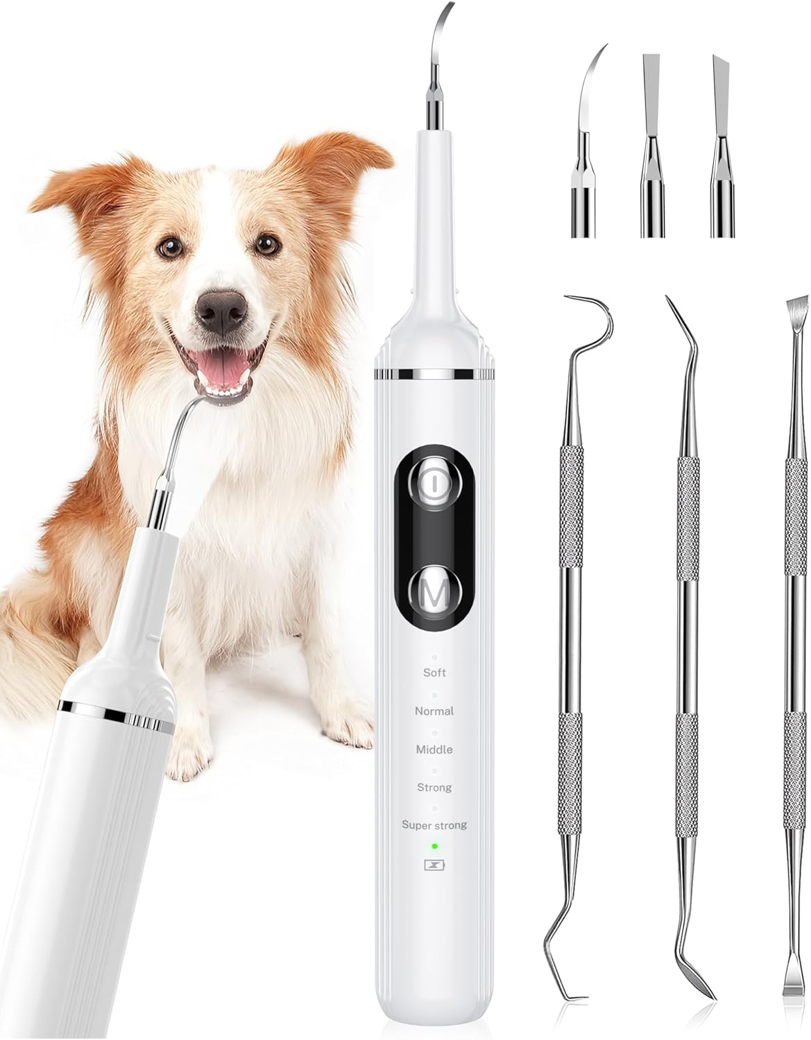 NATURE NERDS Plaque Remover for Teeth, Pet Teeth Brushing Kit, Dental Tools for Removing Plaque and Tartar, Safe for Dogs and Cats, with LED Light, White