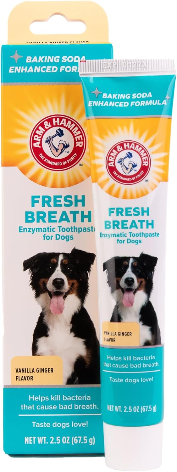 Arm & Hammer Fresh Breath Enzymatic Toothpaste for Dogs, Vanilla Ginger 67.5 g (Pack of 1)