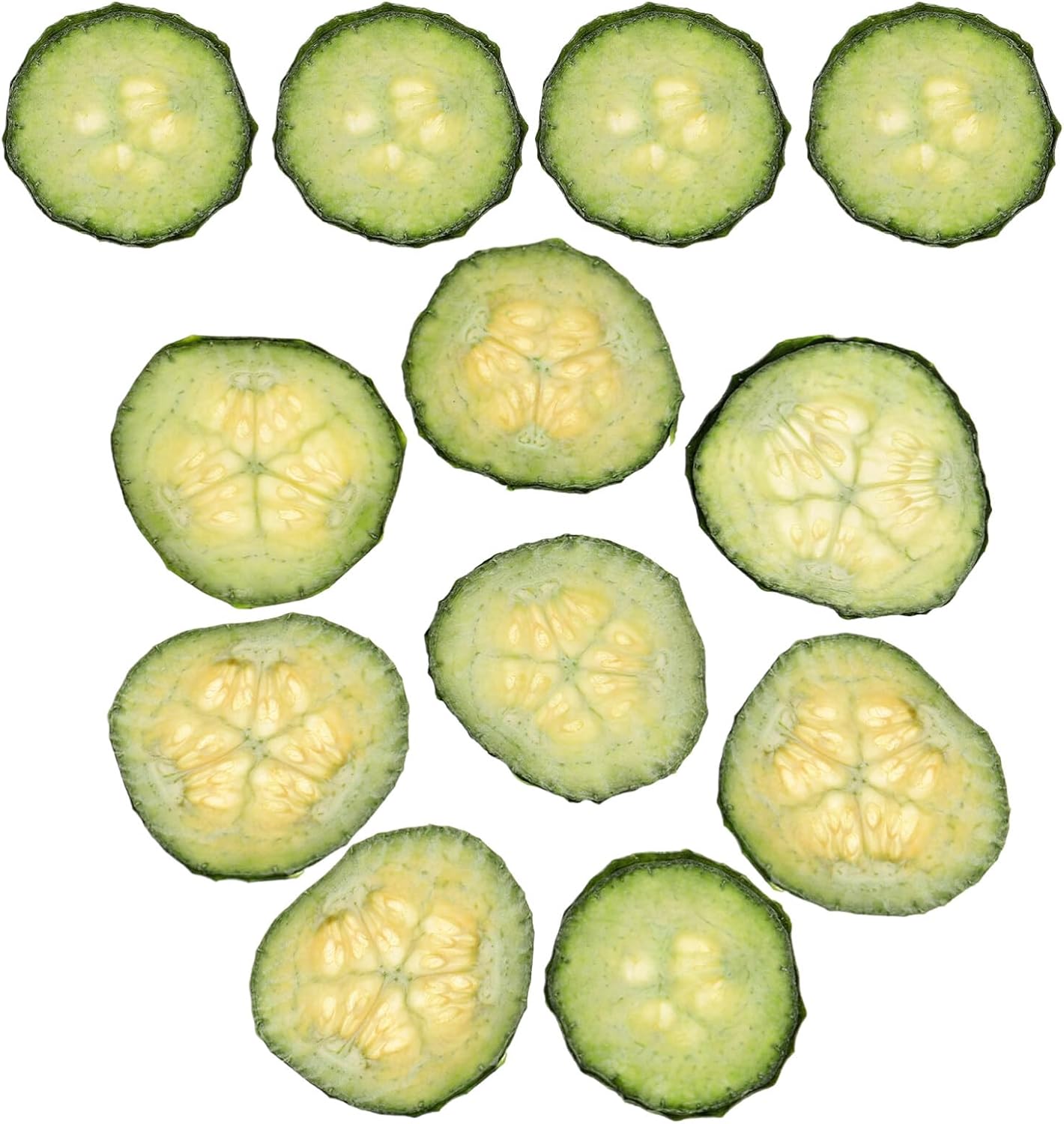 STOBOK 12pcs Dried Cucumber Slices Natural Pressed Vegetable Specimens for Crafts Scrapbooking Nail Art and Jewelry Making