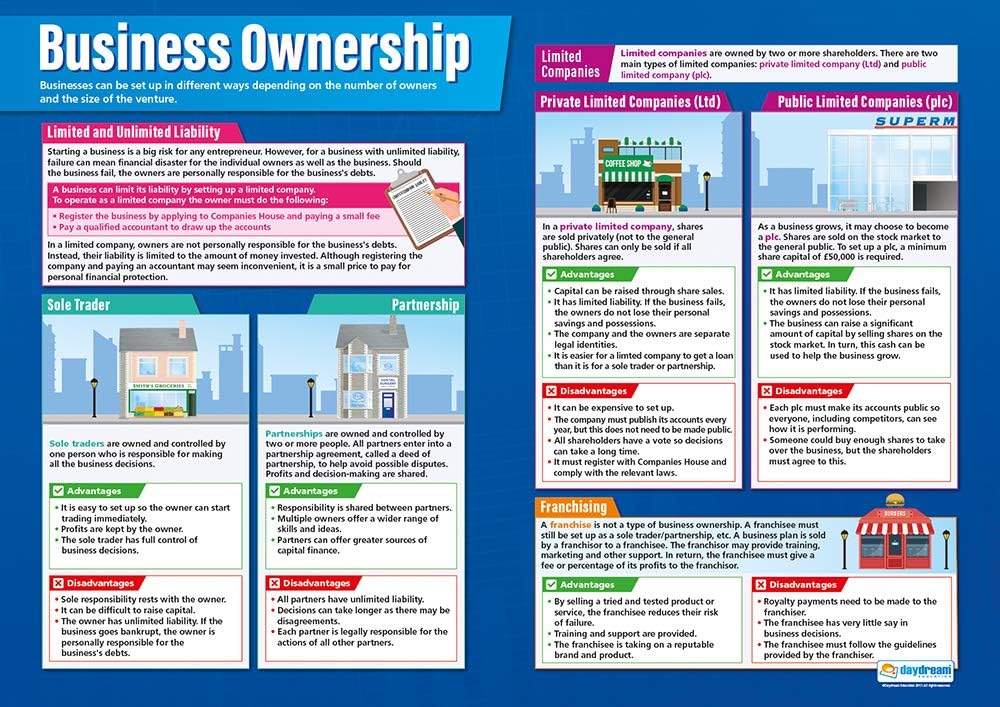 Daydream Education Business Ownership Poster - EXTRA LARGE 33” x 23.5” - Laminated - Business Studies High School Classroom Decoration - Wall Charts