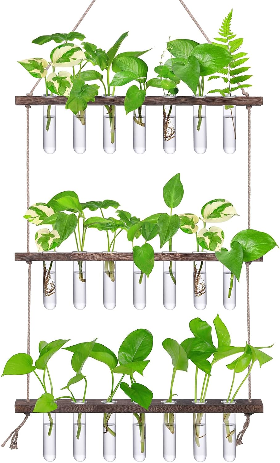 XXXFLOWER Wall Hanging Propagation Station with 3 Tiered Wooden Stand 21 Test Tubes Plant Holder Hydroponic Plants Terrarium Plant Lover Gifts Indoor Garden Decor