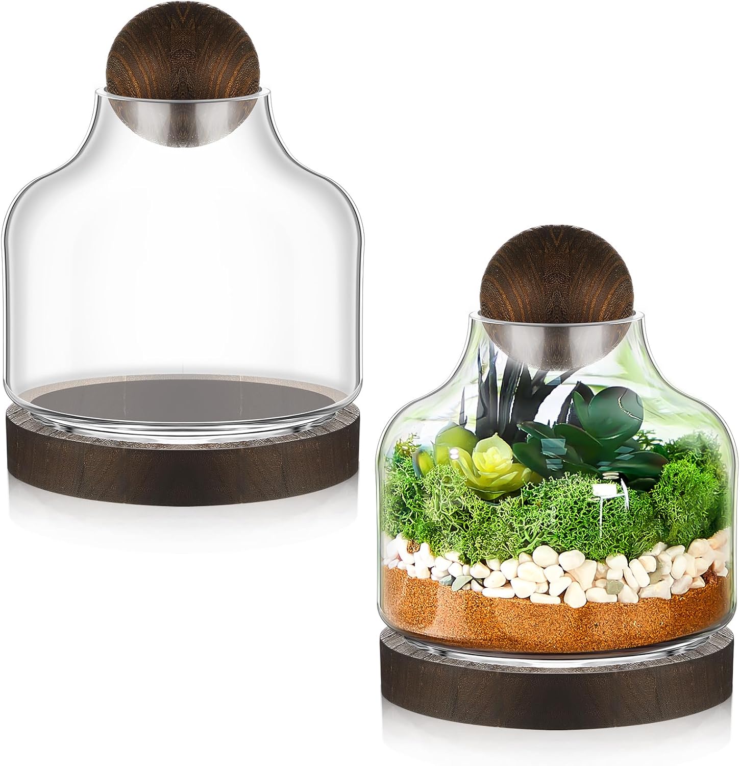 2 Pack Glass Terrarium with Wood Base & Ball Lid - Elegant Display Jars for Plants, Decorative Container Ideal for Moss, Air Plants, Succulents, for Tabletop Home & Office Decor (7 Inch)