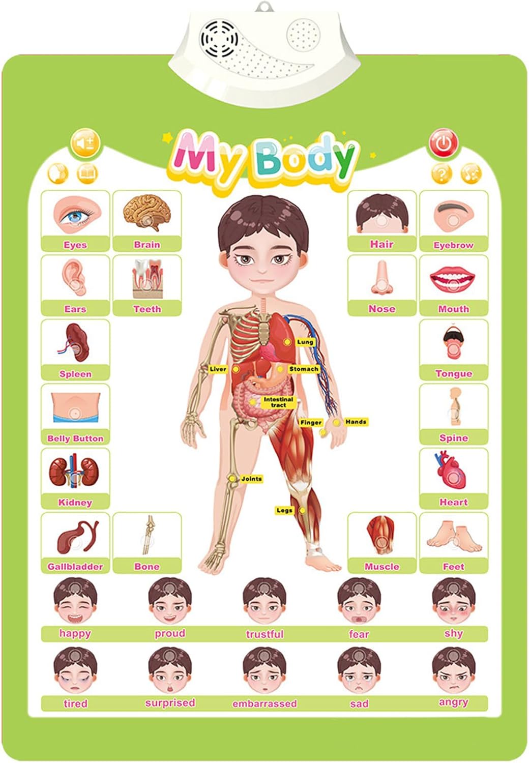 Educational Talking Wall Chart For Kids Interactive Learning Tool For Toddler Preschool Sounding Cogntion Skill Poster Sound Chart