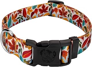 Country Brook Design 1 Inch Adjustable Dog Collar for Small, Medium, Large Breeds - Autumn and Fall Collection with Multiple Designs (Brisk Autumn, Extra Large)