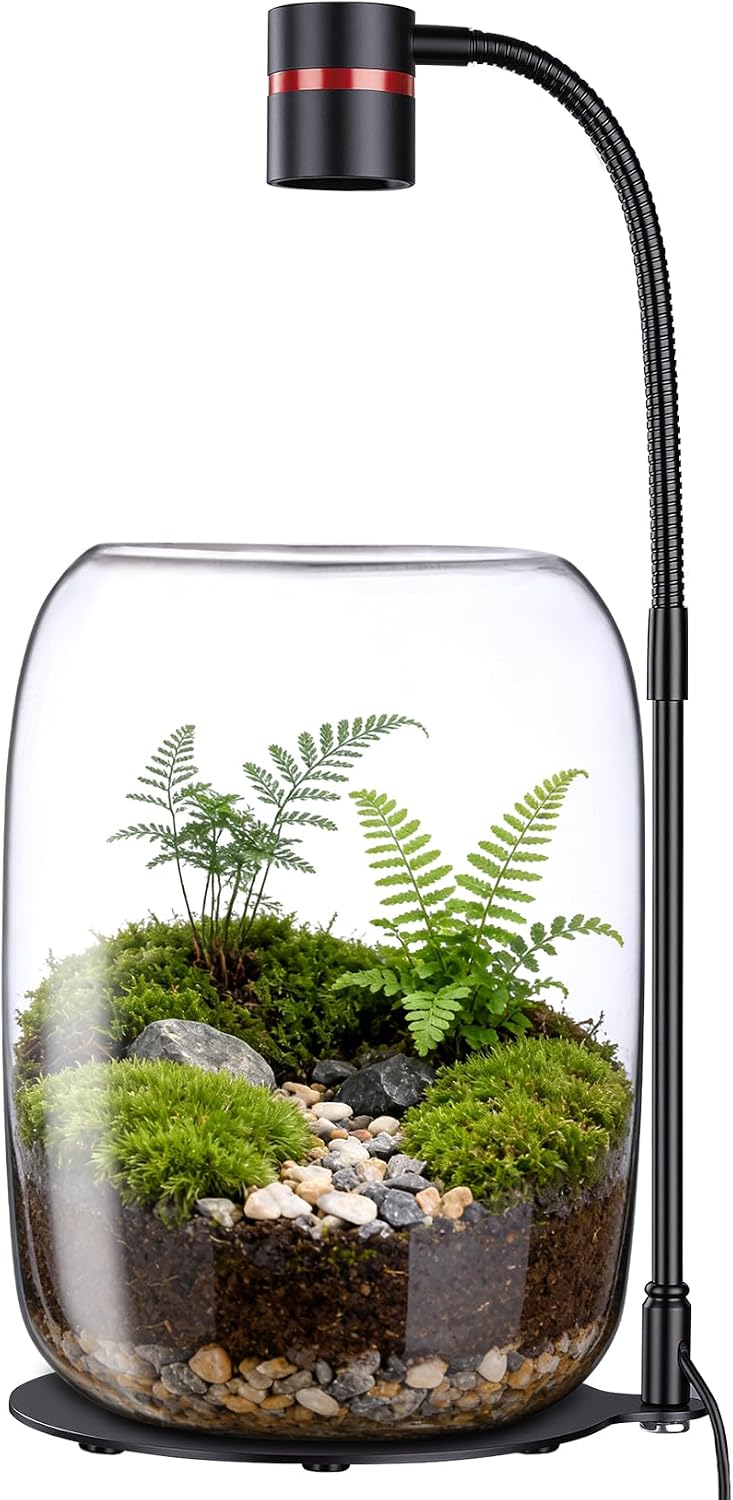 Glass Terrarium Jar with 5W LED Grow Light, 8.7 Inch
