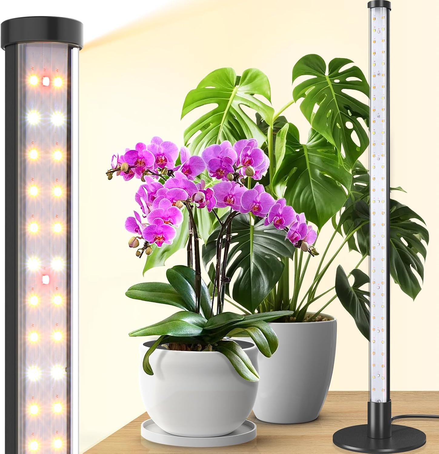 Barrina T10 Standing Grow Light for Indoor Plants, 20W 2FT, Full Spectrum
