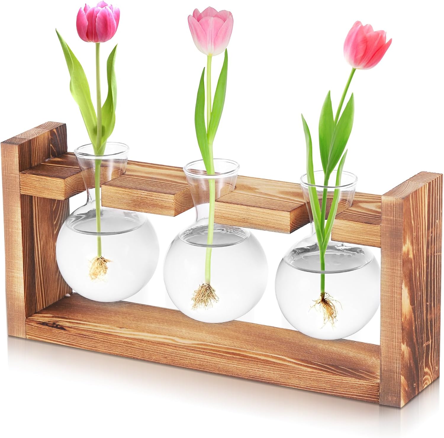Fentar Propagation Station, Plant Terrarium Jar with Wooden Base, Stylish Clear Desk Decorations for Terrarium Plants, Elegant Plant Propagation Station for House Plants Flower Cuttings Kitchen Decor