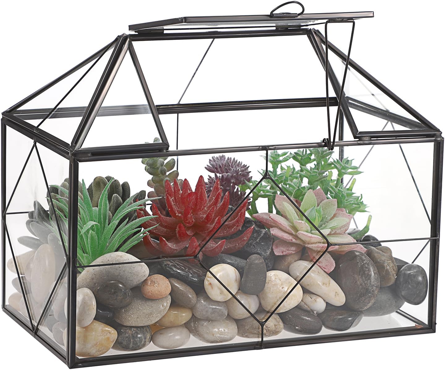 SUMTree Black Glass Plant Terrarium with Prismatic Grid, Garden Moss Container with Swing Lid, Airplant Display Box for Succulent Plants, Glass Rectangle Indoor Air Plant Container, Black