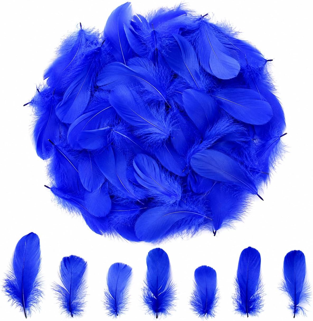 Lamar 300 Pcs Royal Blue Craft Feathers 2-3''