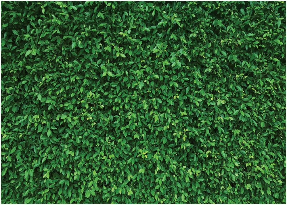LYWYGG 7x5FT Green Leaves Photography Backdrops Nature Backdrop Birthday Background for Birthday Party Seamless Photo Booth Prop Backdrop CP-87