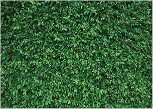 LYWYGG 7x5FT Green Leaves Photography Backdrops Nature Backdrop Birthday Background for Birthday Party Seamless Photo Booth Prop Backdrop CP-87