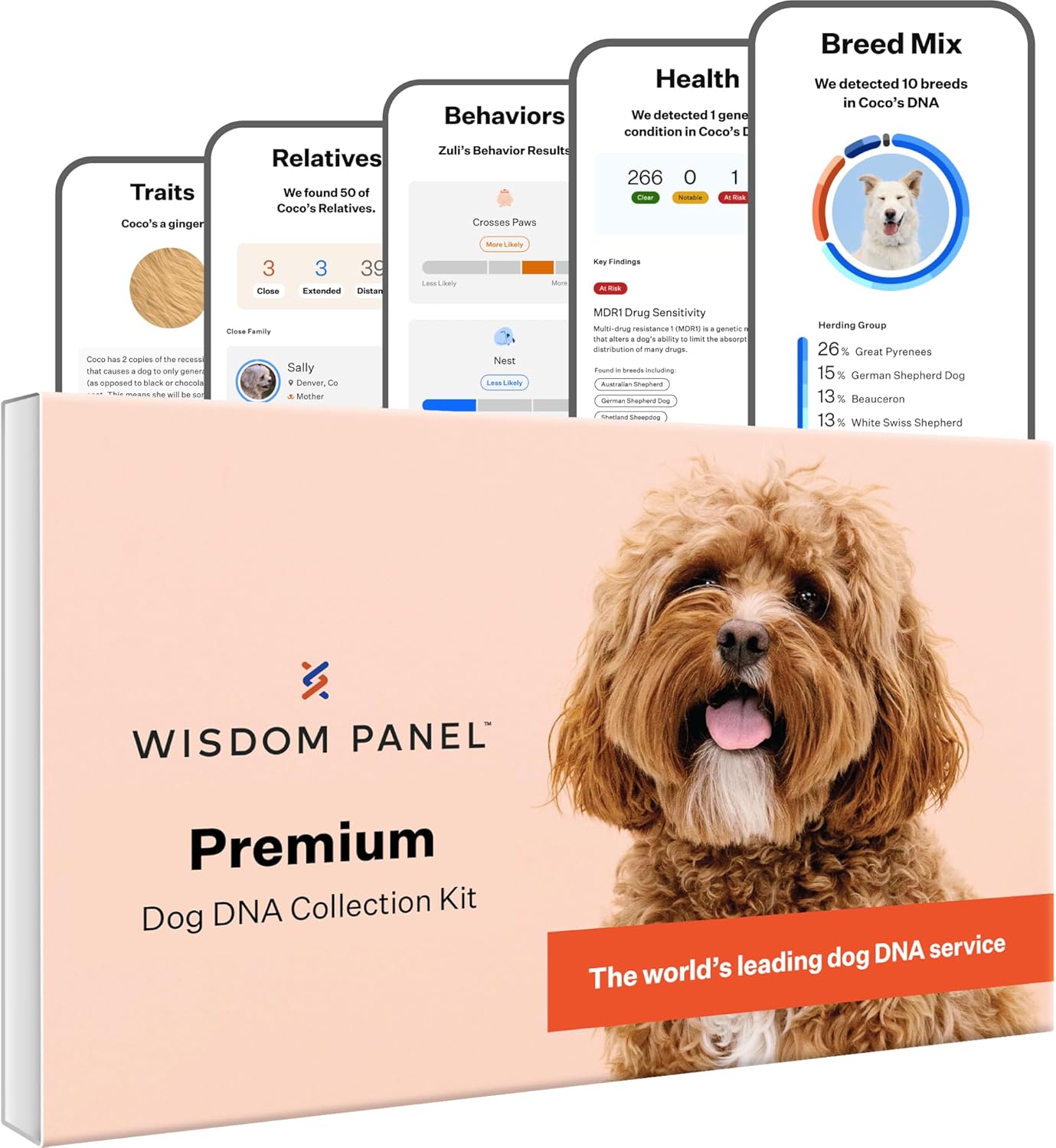 Wisdom Panel Premium Dog DNA Kit: Most Comprehensive with 265+ Health Tests, Identify 365+ Dog Breeds, 50+ Traits, Relatives, Ancestry, Genetic Diversity - 1 Pack