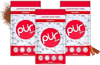 PUR Gum | Aspartame Free Chewing Gum | 100% Xylitol | Natural Cinnamon Flavored Gum, 55 Pieces (Pack of 3)