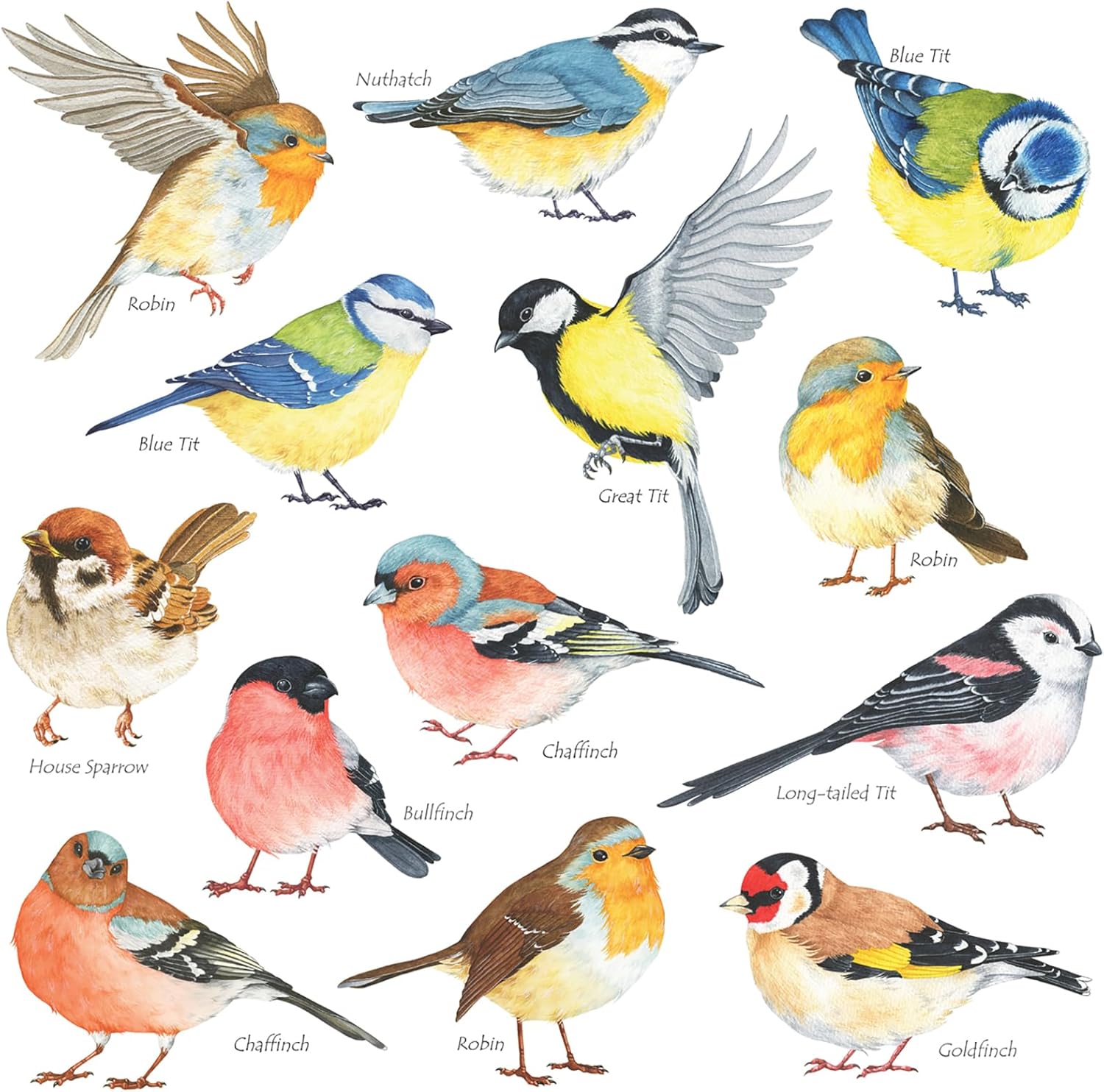 DECOWALL DS2-8038 Little Birds Wall Art Stickers Colourful Flying British Birds Wall Decals Removable Garden Decorations Poster Bedroom Kitchen Living Room (Small)