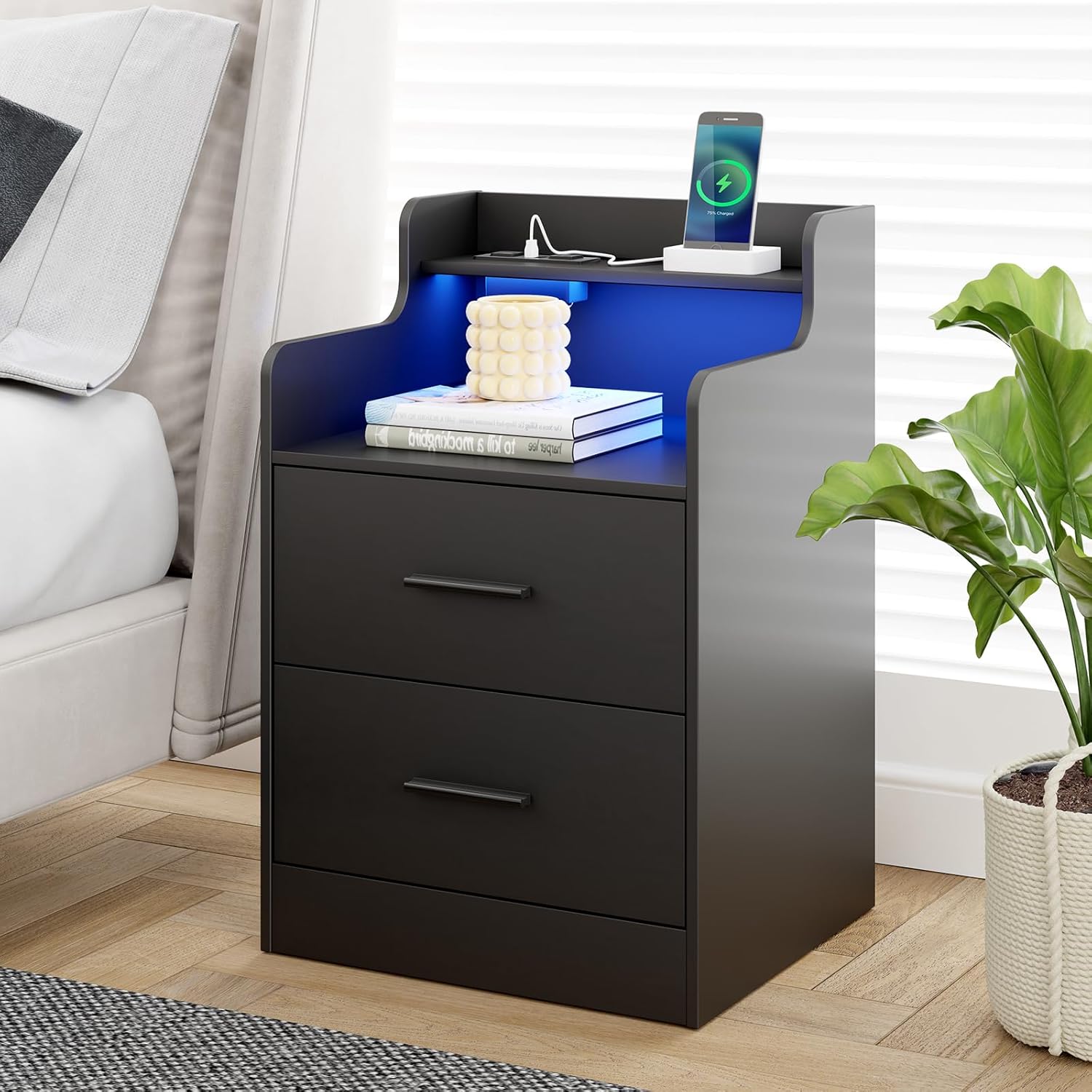 Nightstand with Charging Station,Modern Bedside Table with LED Light, Night Stand with 2 Drawers and Storage Shelves, Bedside Table for Bedroom,End Side Table Black Only One Piece (1, Black)