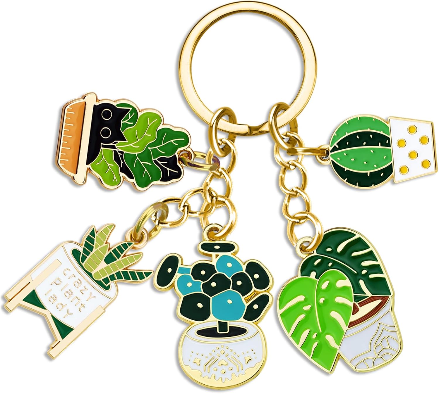 Ibiwe Plant Lover Gifts for Women Men Keychian Plant Lady Gifts Cool Plants Gift Cactus Succulent Gift for Plant's Lover Stuffs Jewelry Crazy Plants Lady Gift's