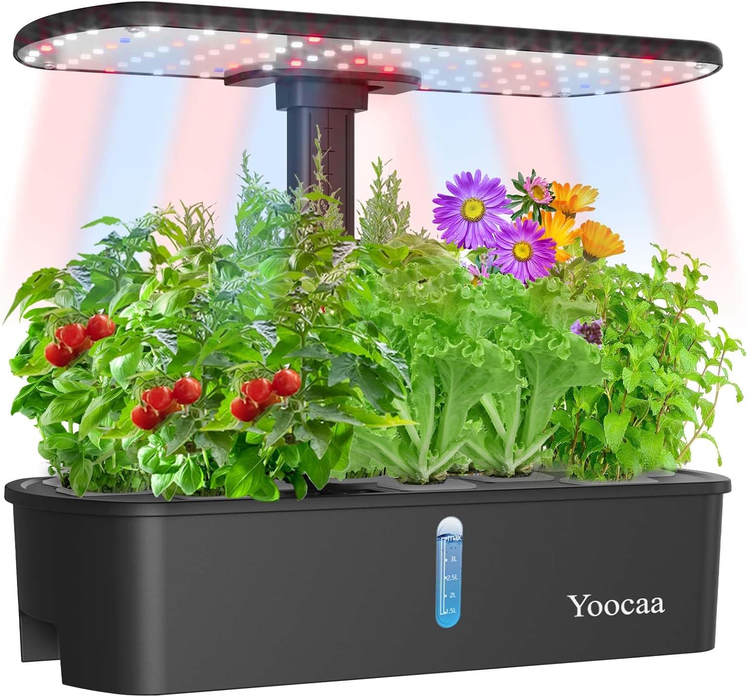 12-Pod Hydroponics Growing System with LED Grow Light & Automatic Timer, Adjustable Indoor Herb Garden Kit for Home Kitchen (19.4'' Max Height), IGS-61