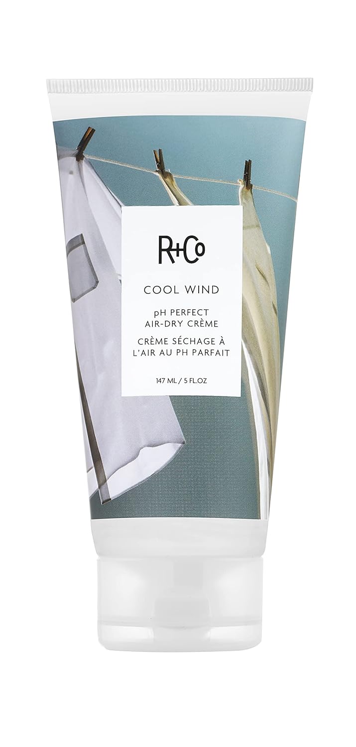 R+Co Cool Wind pH Perfect Air Dry Hair Cream | Hydrates + Tames + Softens | Vegan + Cruelty-Free |