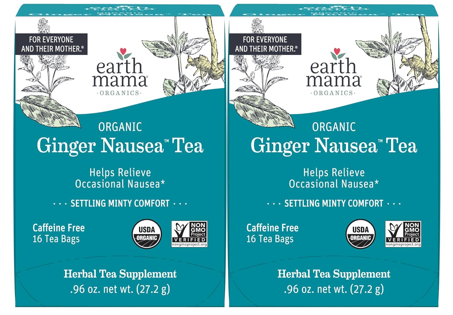 Earth Mama Organic Ginger Nausea™ Tea | Comforts Occasional Nausea + Morning Sickness, 16 Teabags Per Box (2-Pack)