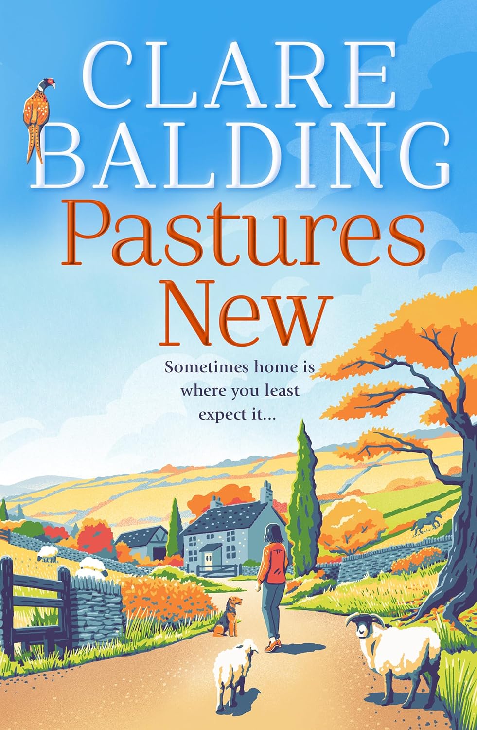 Pastures New: the joyful new debut novel from the Celebrity Traitors contestant and No. 1 Sunday Times bestselling author