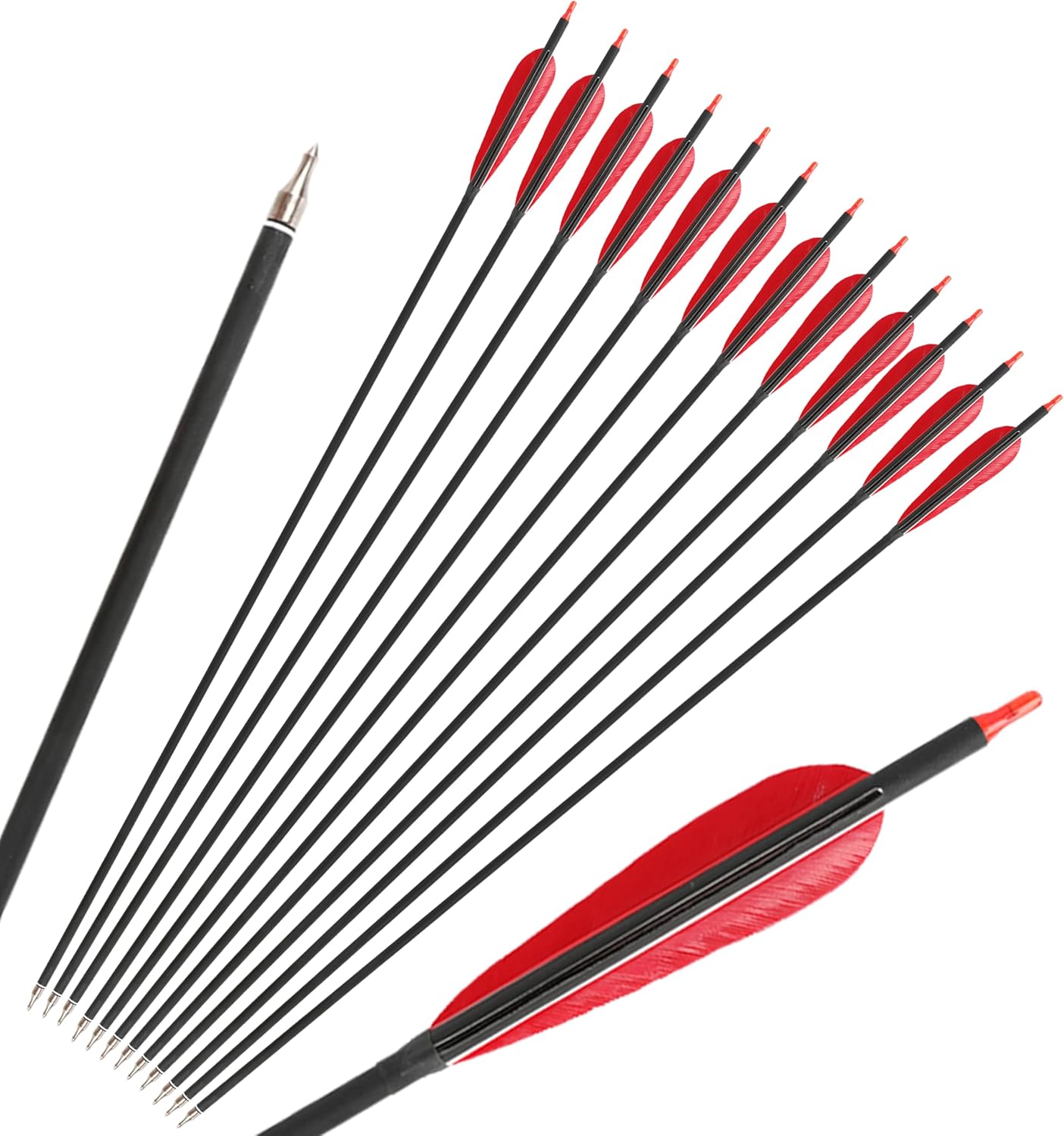 SHARROW Archery Carbon Arrow 34 inch Practice Hunting Arrows Spine 500 Targeting Arrows with Removable Tips 5" Turkey Feathers for Compound Bow and Recurve Bow