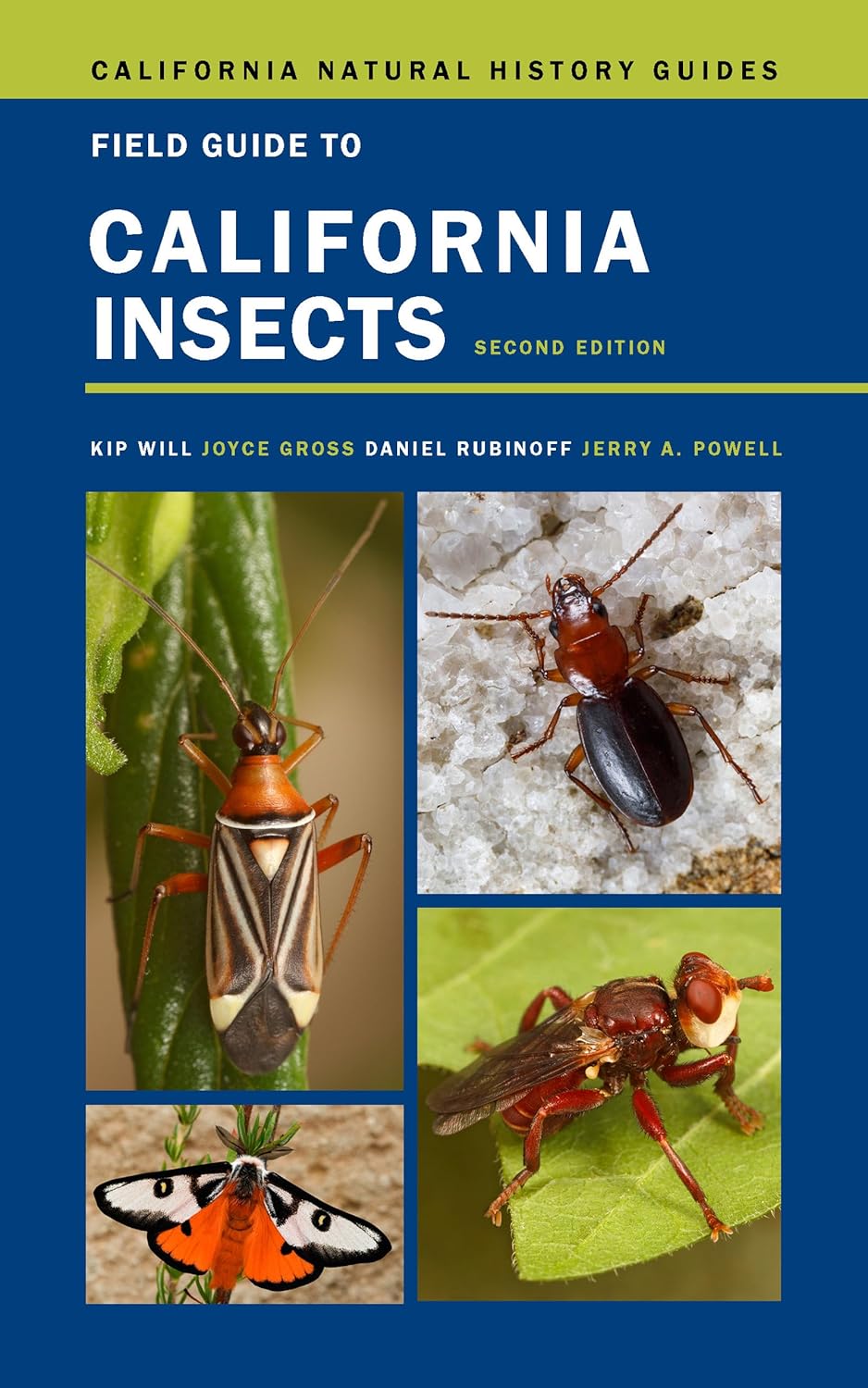 Field Guide to California Insects: Second Edition: 111 (California Natural History Guides)