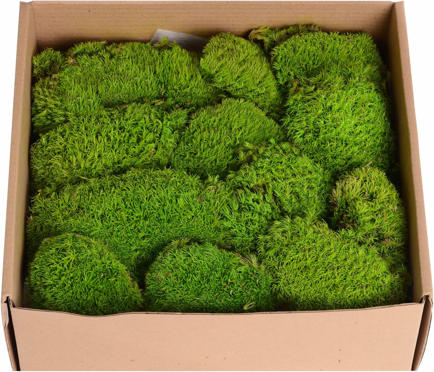 1.5 Sq. Ft. Preserved Moss Pole Decorative Moss for Crafts, Art, Wall Decor,Yellow Green Moss