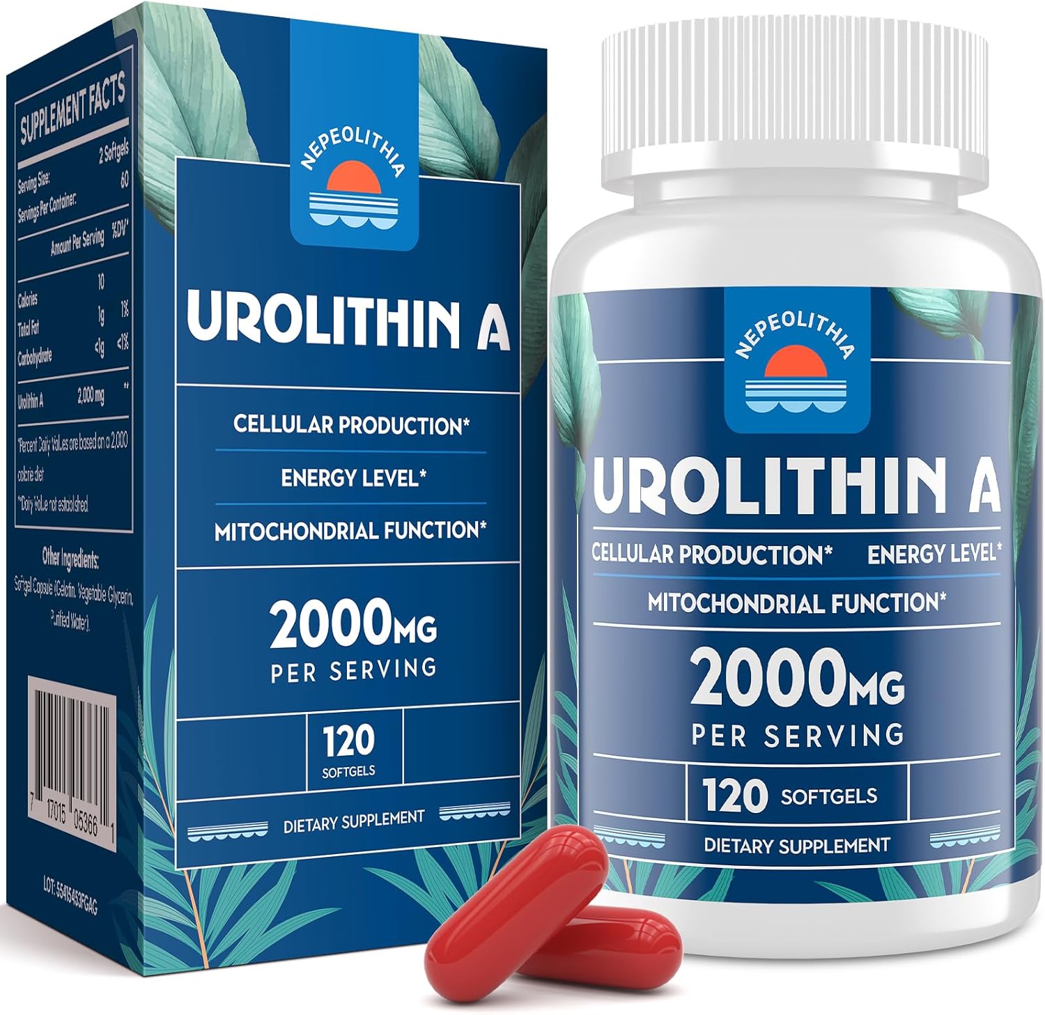 Nepeolithia Urolithin A 2000mg, Gluten Free, 120 Softgels (2 Months Supply)