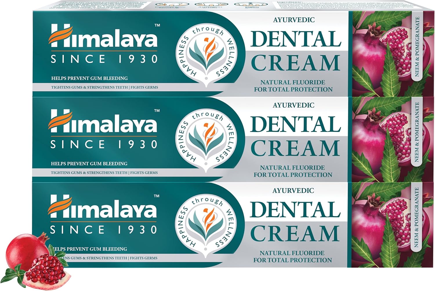 Himalaya Ayurvedic Dental Cream Herbal Toothpaste with Neem & Pomegranate, Protect Gums |Helps Fight Plague, Cavity |Natural Fluoride - 100g (Pack of 3)