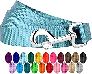 Country Brook Petz 1" Wide Heavy-Duty Nylon Leash for Dogs - Traditional Style Durable Leash with Easy-to-Use Snap - Made in The USA, Ocean Blue, 6 Foot