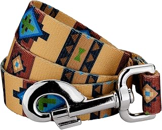 Country Brook Design® 1 Inch Native Arizona Dog Leash - 6 Foot