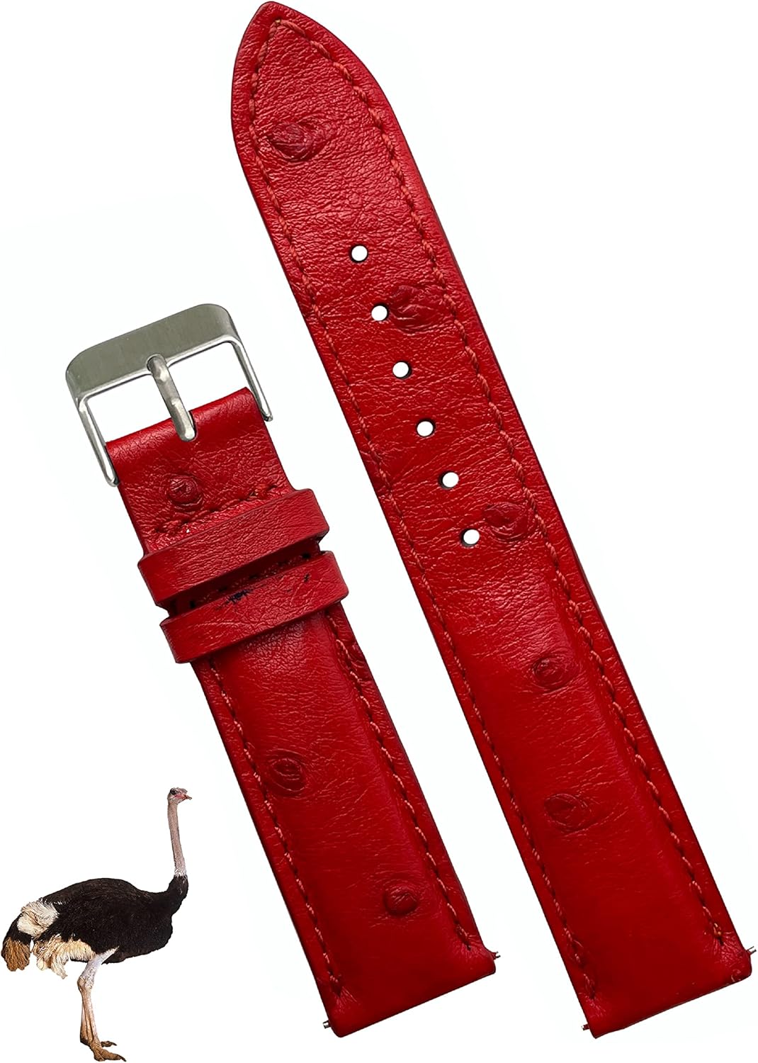 Quick Release Ostrich Leather Watch Bands Men Handmade Replacement Wrist Watch Straps Vintage Extra Soft Exotic Leather Strap 18mm 19mm 20mm 21mm 22mm