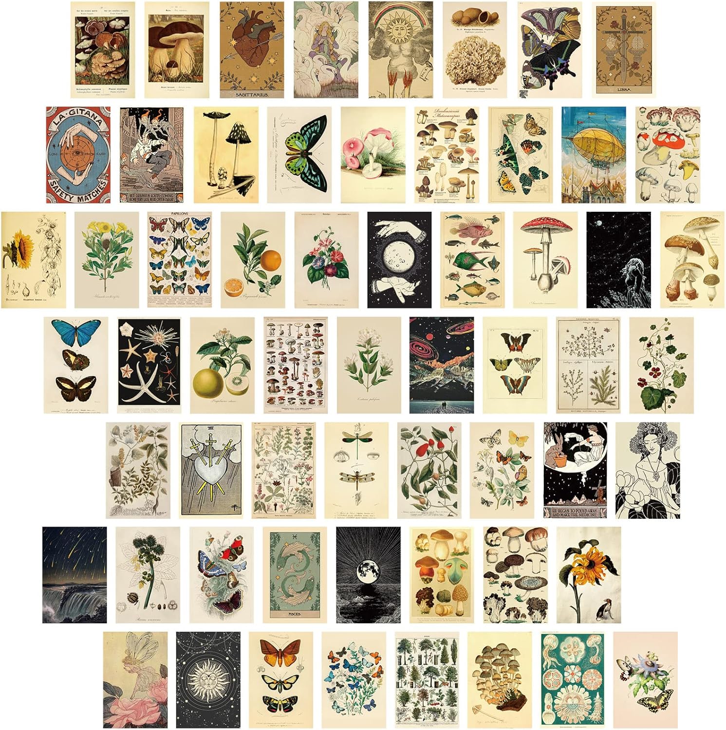 Containlol 60 Pcs Vintage Wall Collage Kit Maximalist Paintings Art Prints Botanical Illustration Tarot Aesthetic Vintage Prints Cards Photo Wall Collection Aesthetic Collage Dorm Bedroom Decor